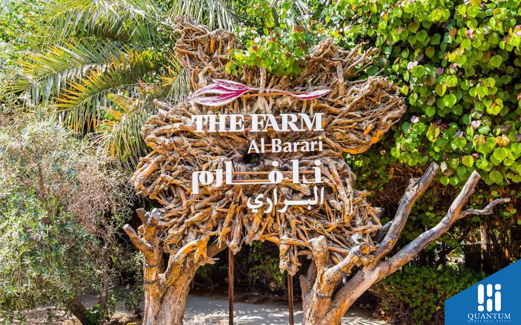 البراري دبي