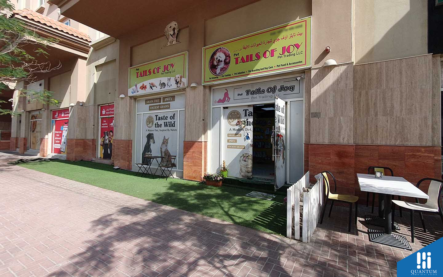 مساكن البروج IV