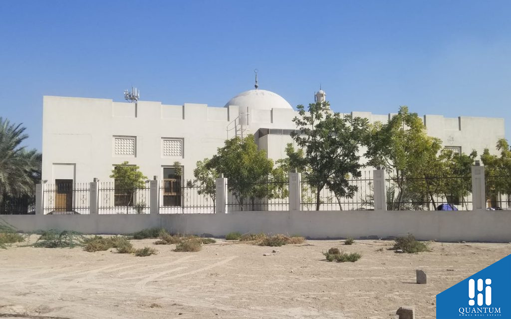القوز 4
