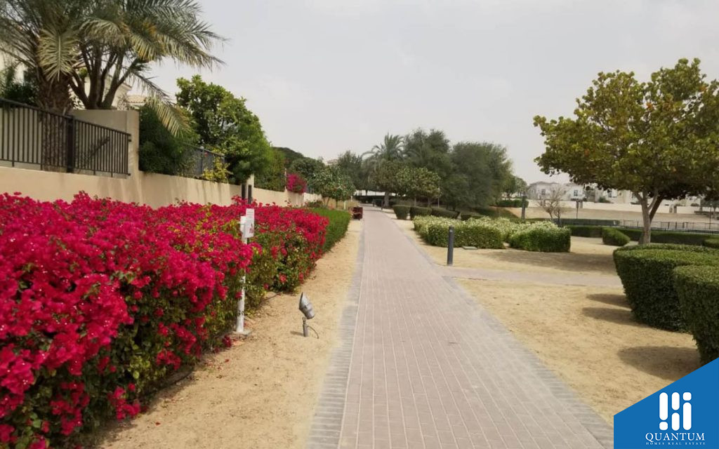 صهيل 4، المرابع العربية