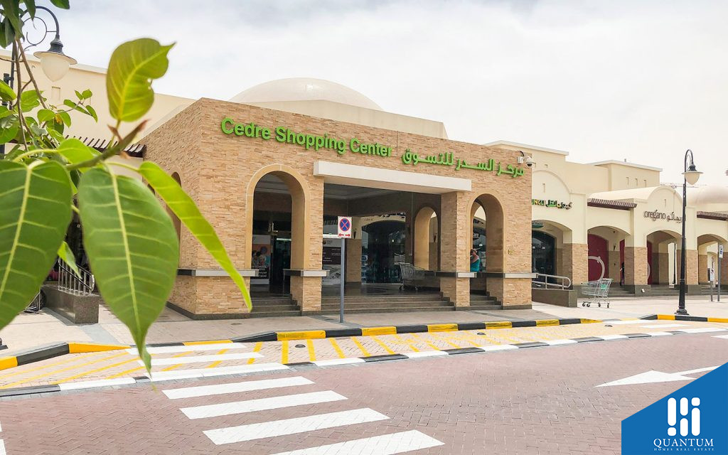 دبي ديجيتال بارك، واحة دبي للسيليكون
