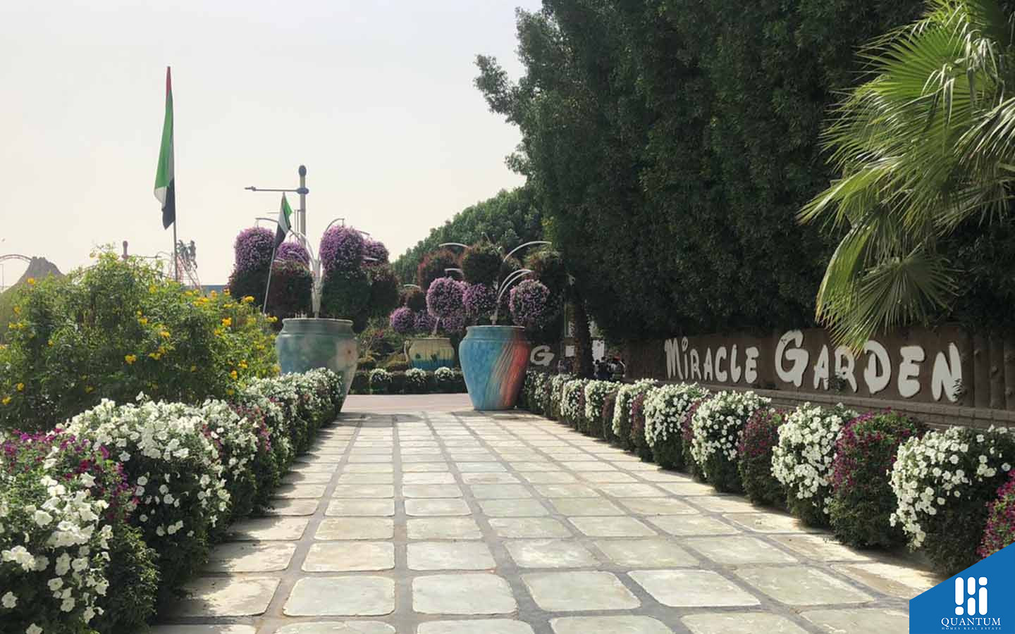 صهيل 1، المرابع العربية