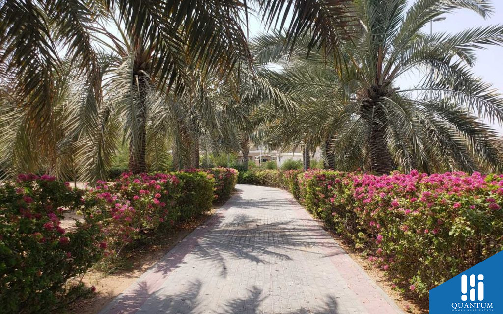 نخيل تاون هاوس، قرية جميرا الدائرية