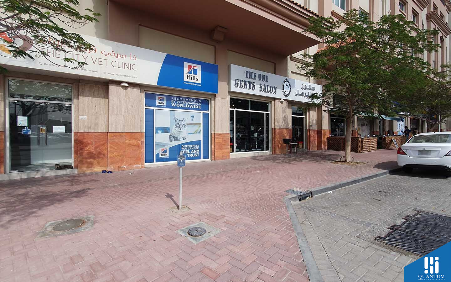 مساكن البروج IV