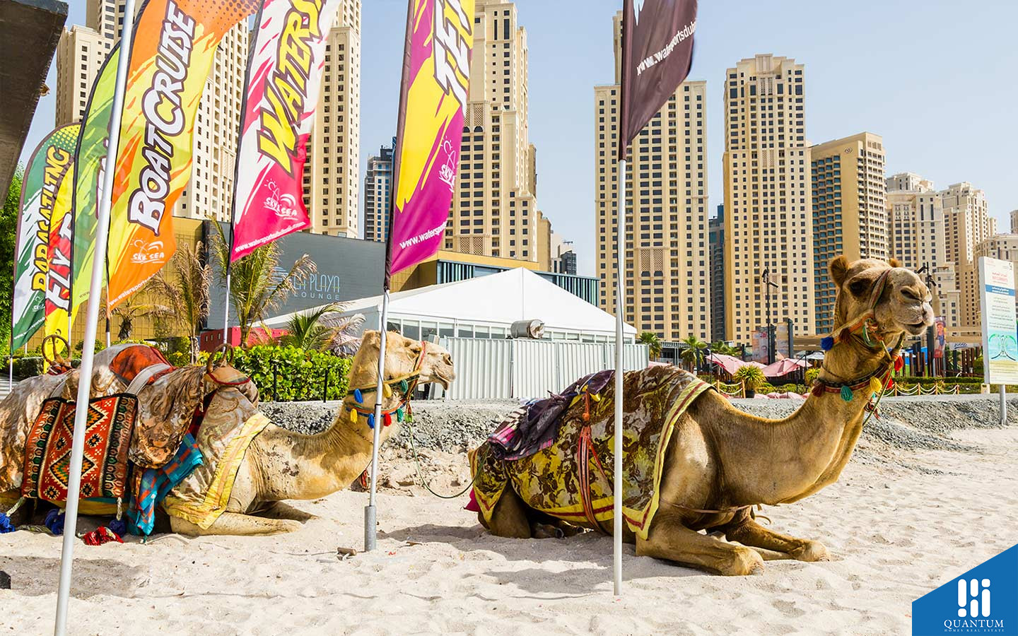 الضاحية 15، قرية جميرا الدائرية