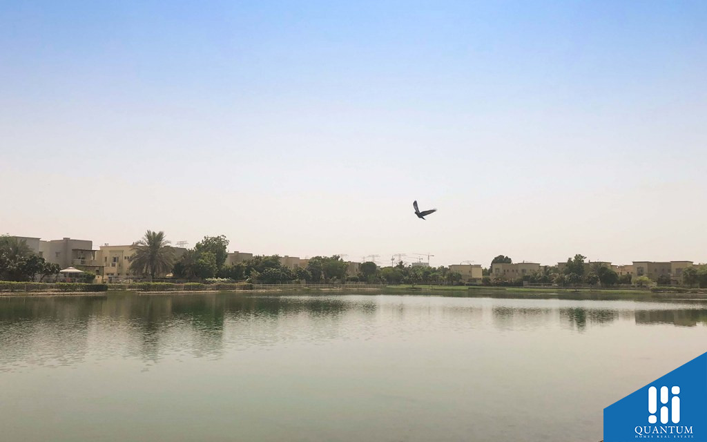 الينابيع 5