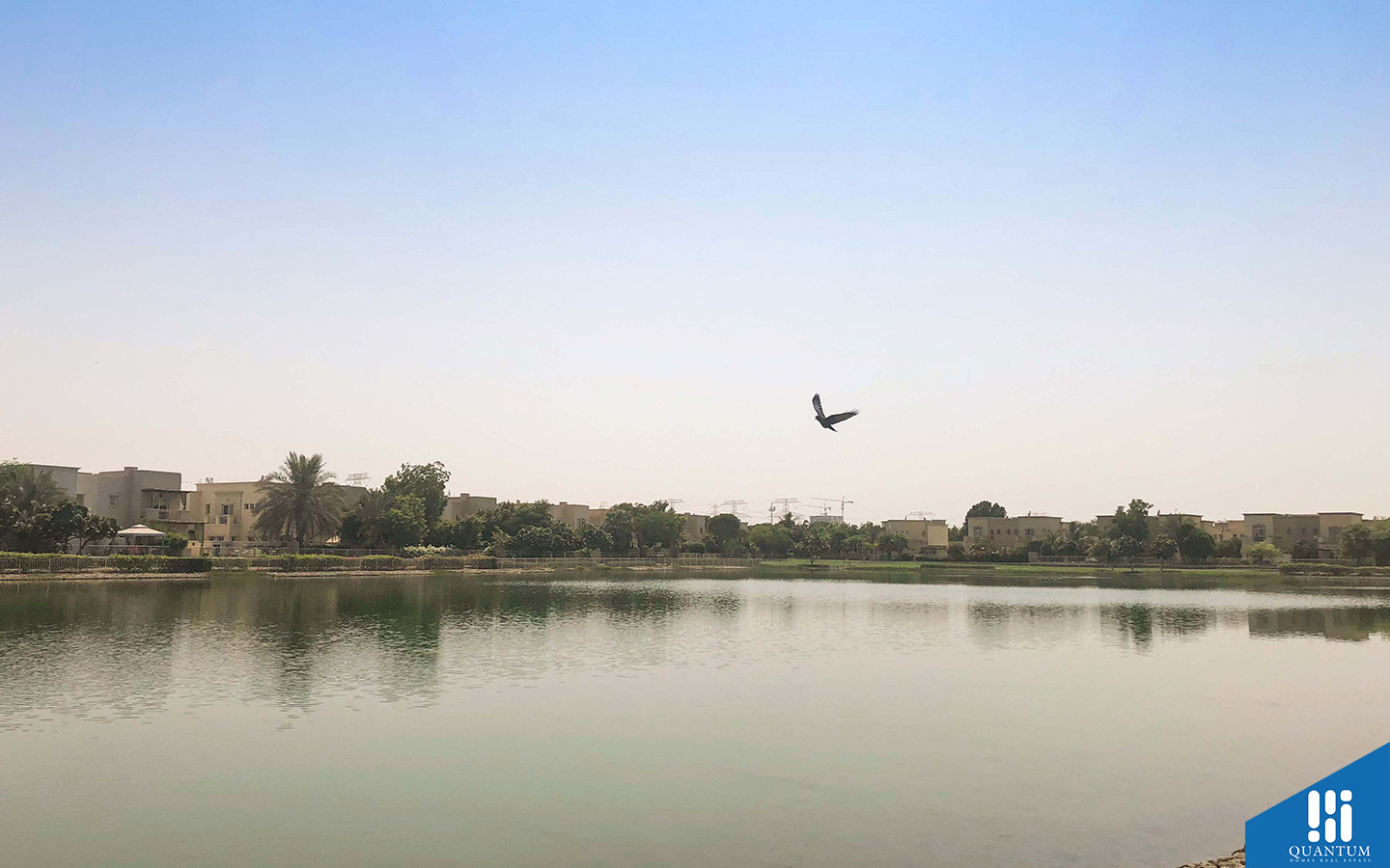 الينابيع 12