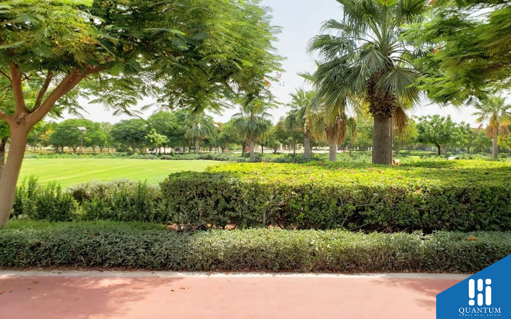 عود المطينة 3