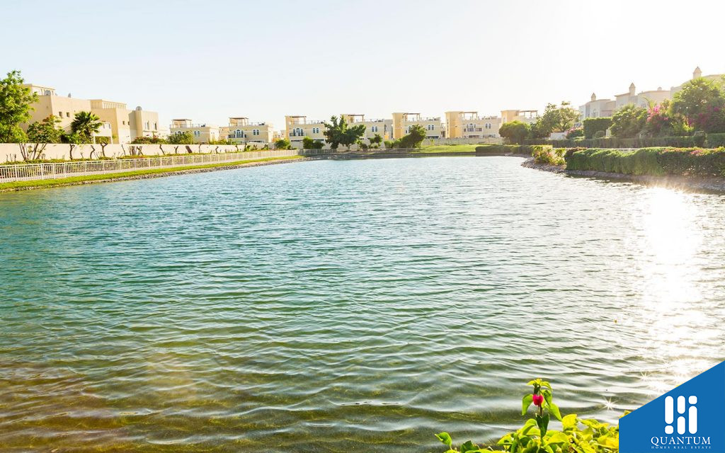 الينابيع 5