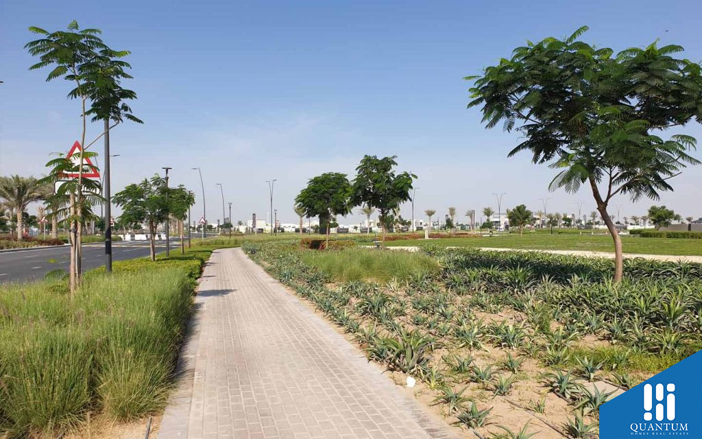 اربانا، إعمار الجنوب